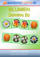 Blumen-Domino_2a.pdf